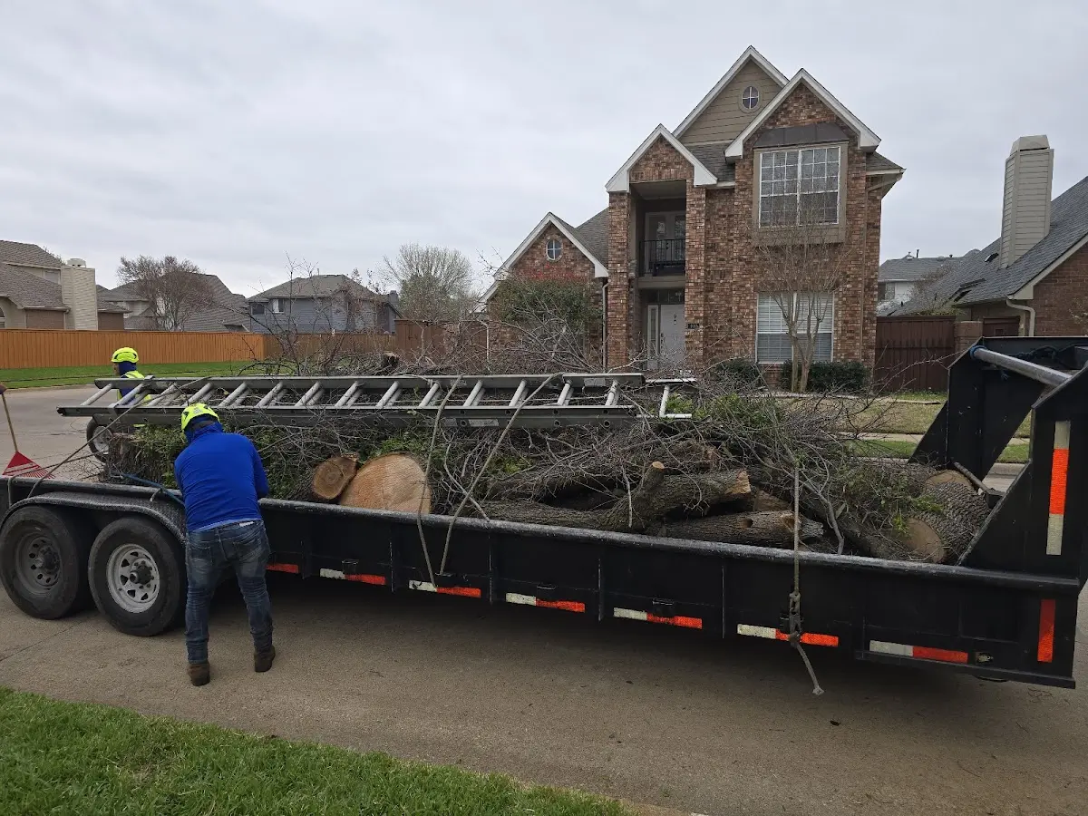 Expert Crown Reduction with proper safety equipment in Hearne